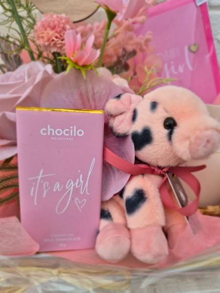 Welcome Baby Girl Pamper Hamper