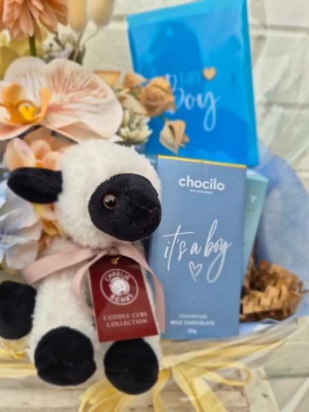 Welcome Baby Boy Pamper Hamper